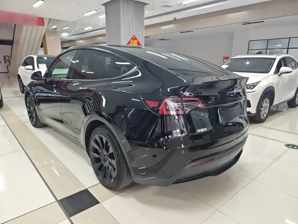 Tesla Model Y — миниатюра 5