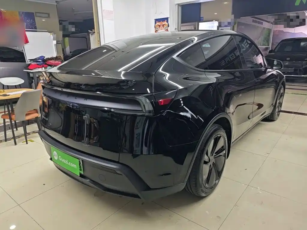 Tesla Model Y — миниатюра 7