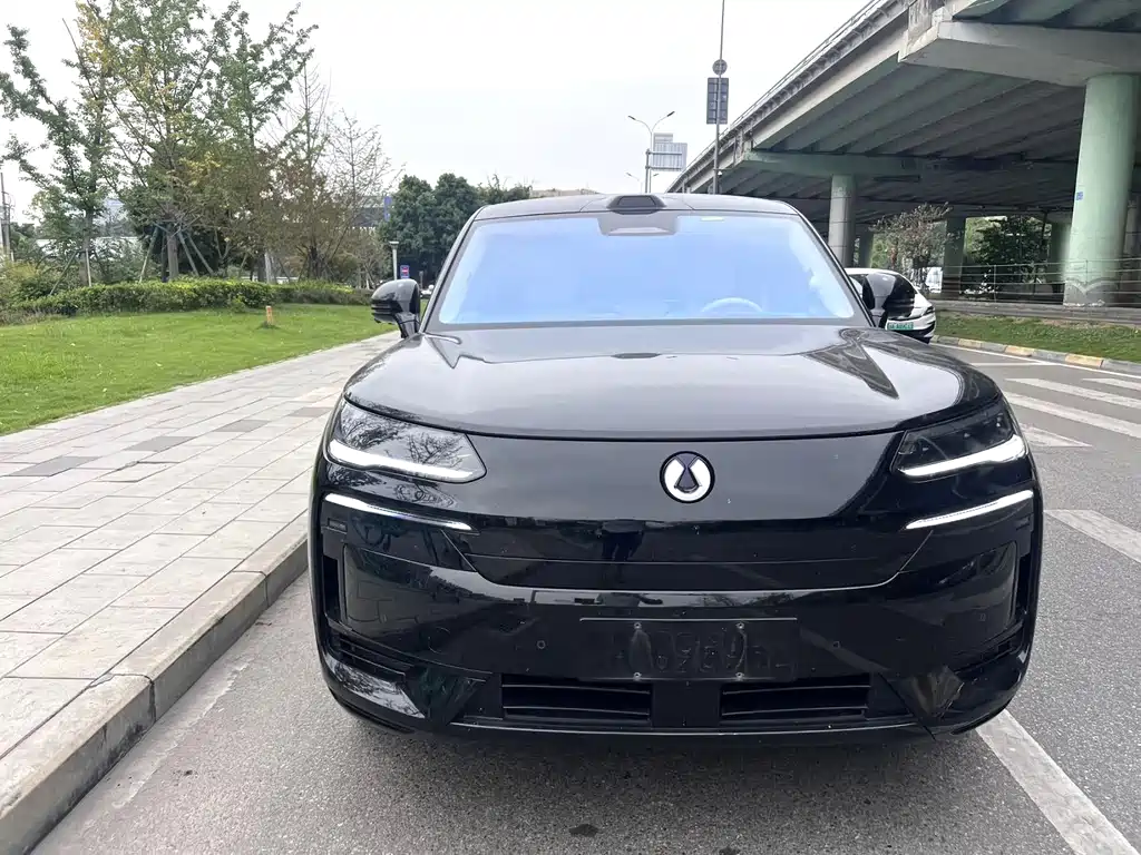 Denza Denza N9 — миниатюра 2