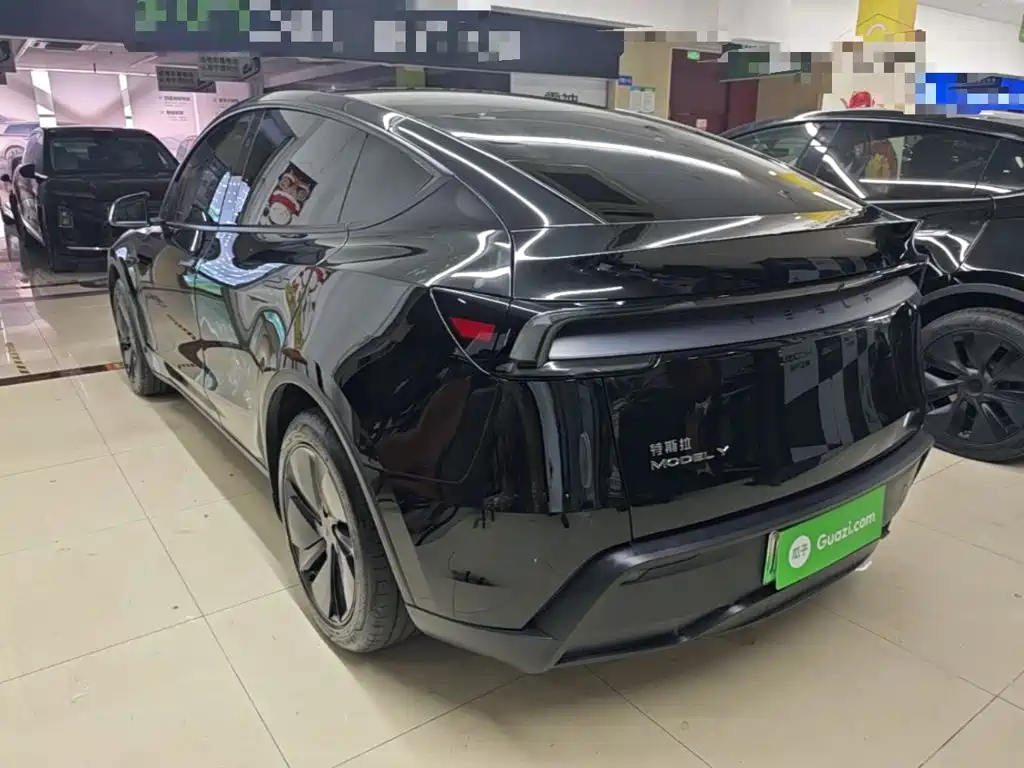 Tesla Model Y — миниатюра 5