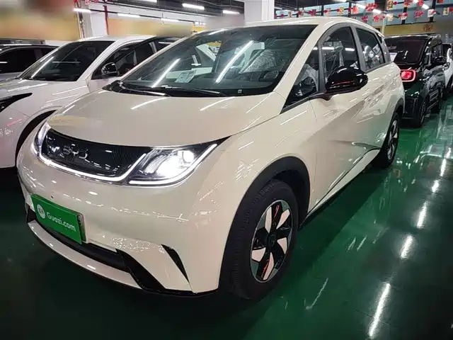 2026 BYD Dolphin