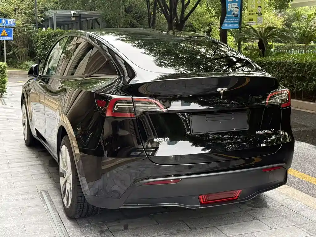 Tesla Model Y — миниатюра 3