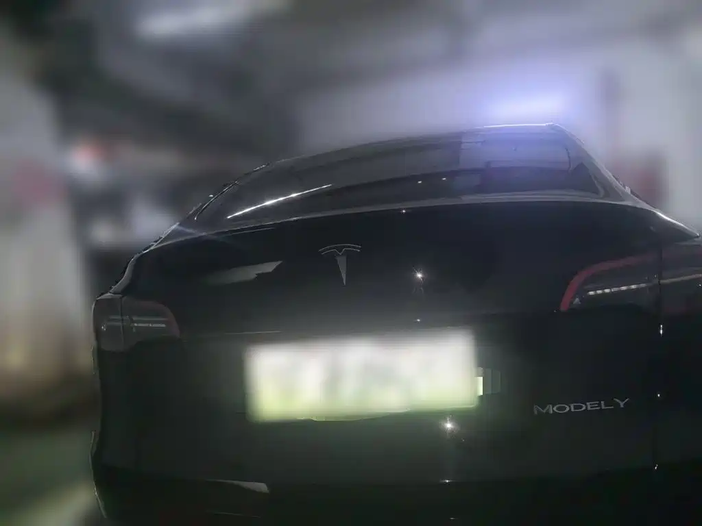 Tesla Model Y — миниатюра 4