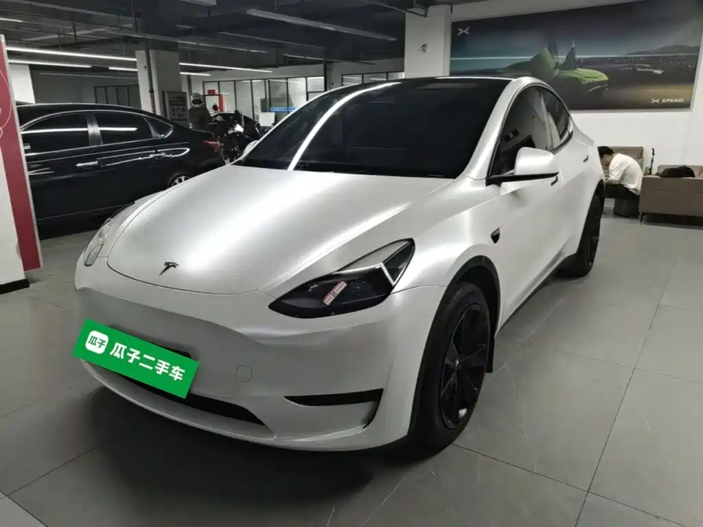 Tesla Model Y — миниатюра 2