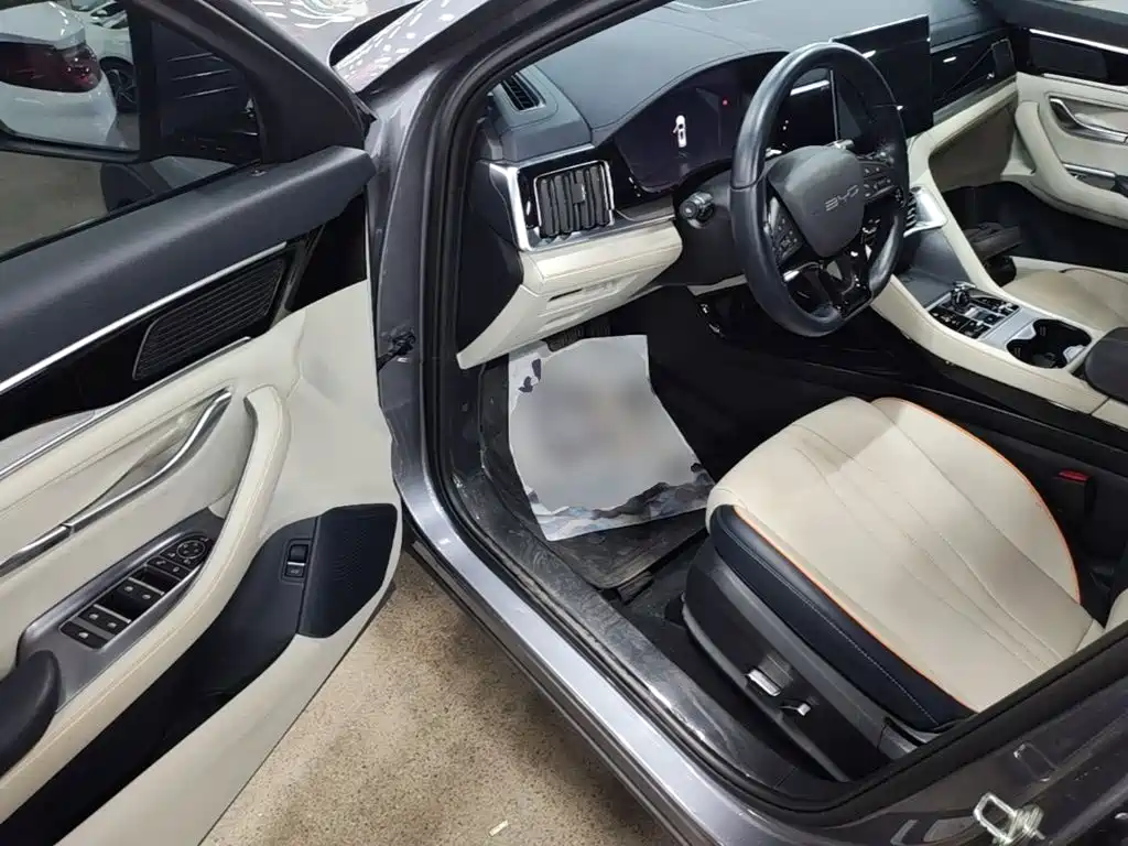 BYD PLUS New Energy — миниатюра 16