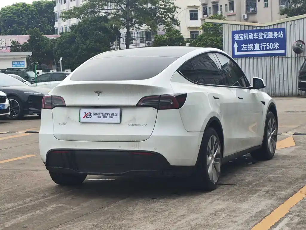 Tesla Model Y — миниатюра 2