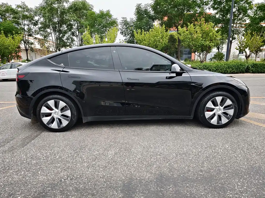 Tesla Model Y — миниатюра 4
