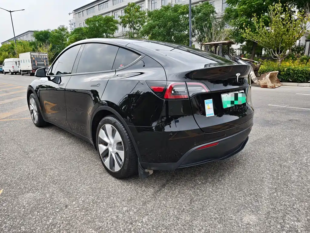 Tesla Model Y — миниатюра 7