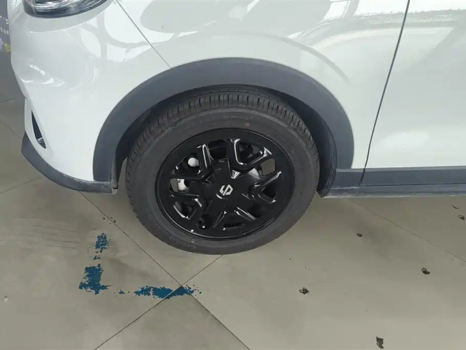 Leapmotor T03 2025 310