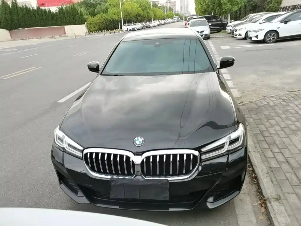 BMW 5 Series 5 2021 530Li Lead M Sport