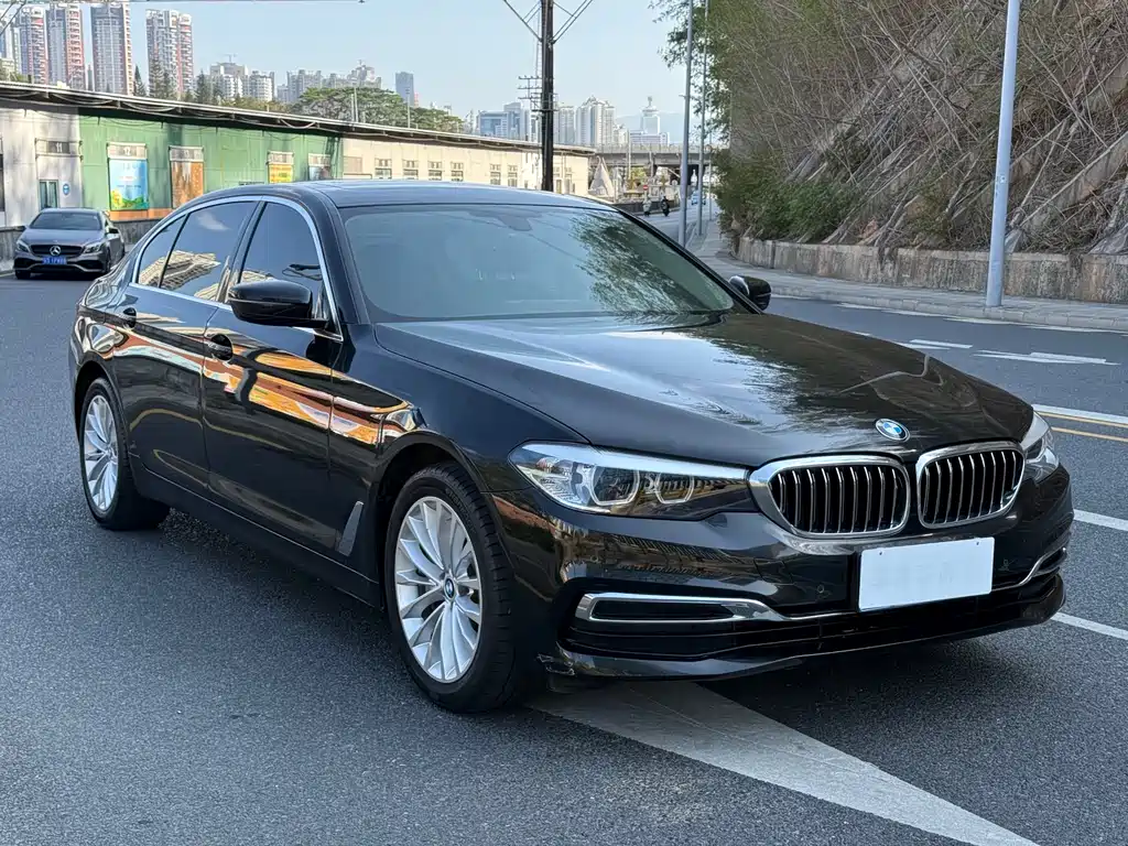 BMW 5 Series 5 2019 530Li Lead Luxury