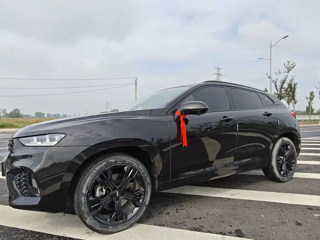 WEI PAI WEI BRAND VV7