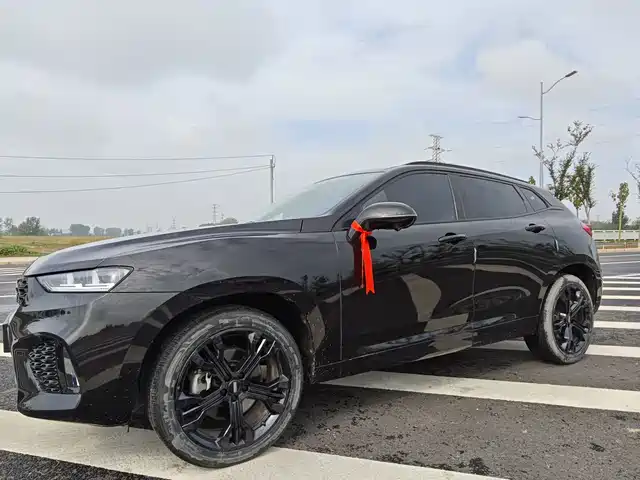 WEI PAI WEI BRAND VV7 2020