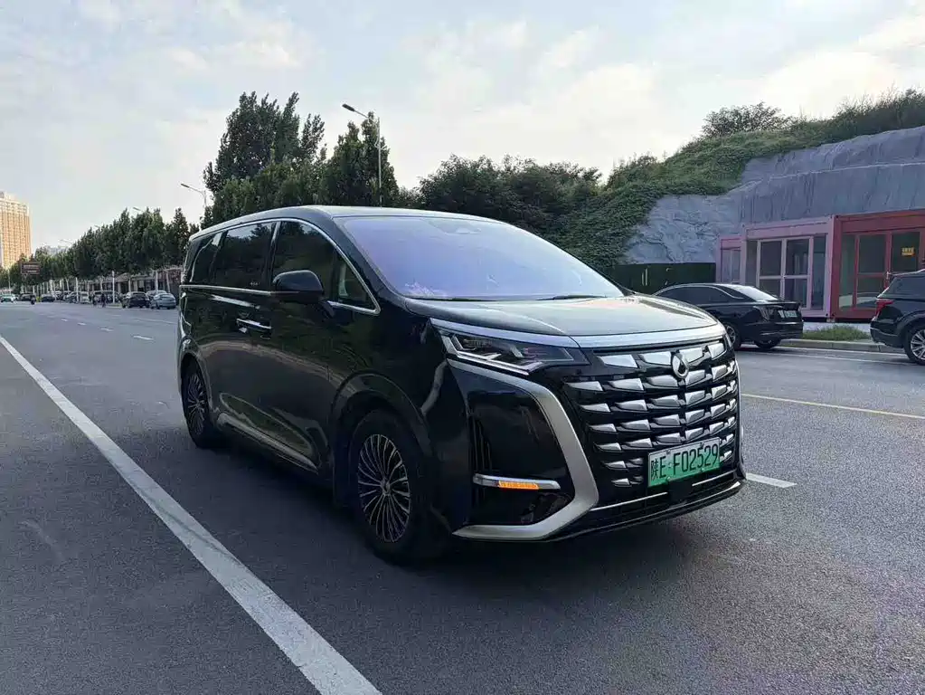 Denza Denza D9 — миниатюра 3