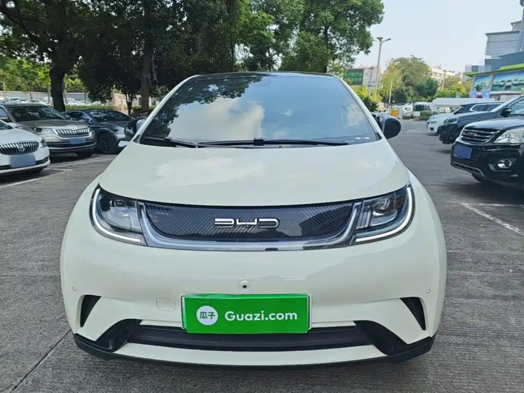 BYD Dolphin — миниатюра 3
