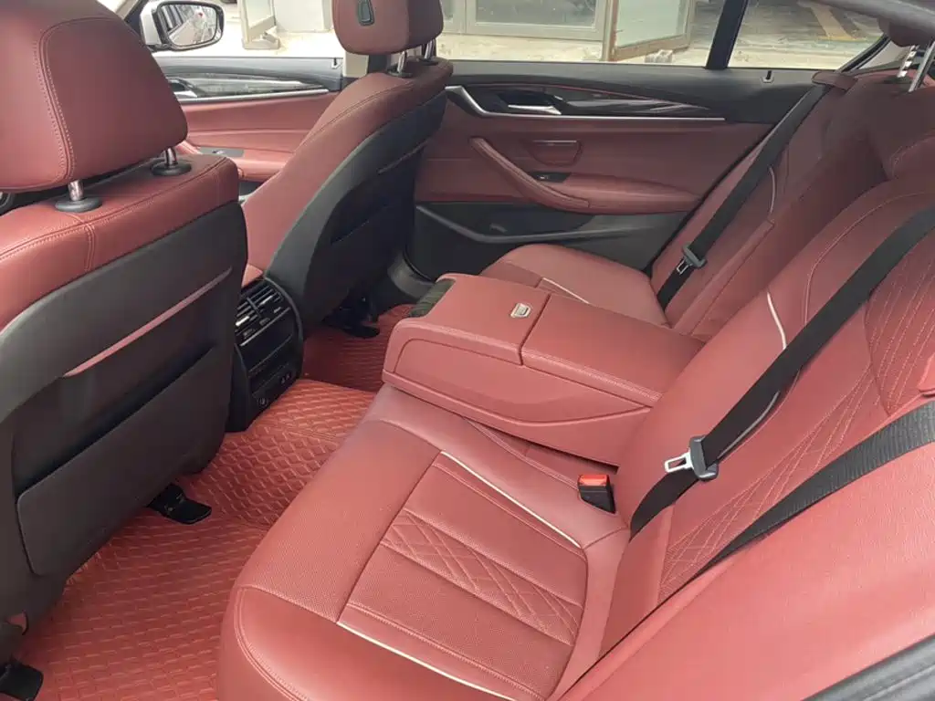 BMW 5 Series 5 2021 525Li Luxury