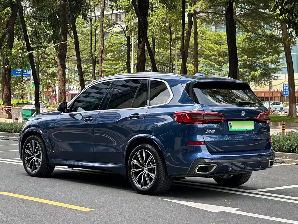 BMW X5 New Energy (Import) — миниатюра 4