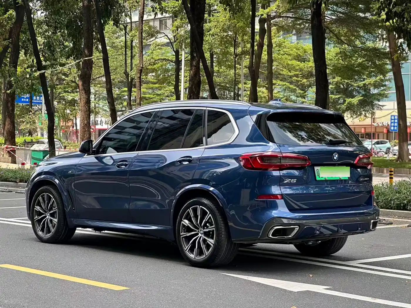 BMW X5 New Energy (Import)