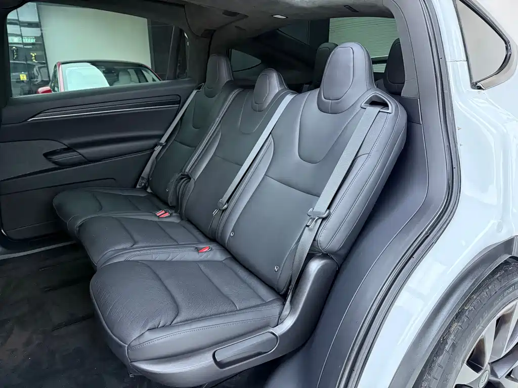 Tesla Model X — миниатюра 6