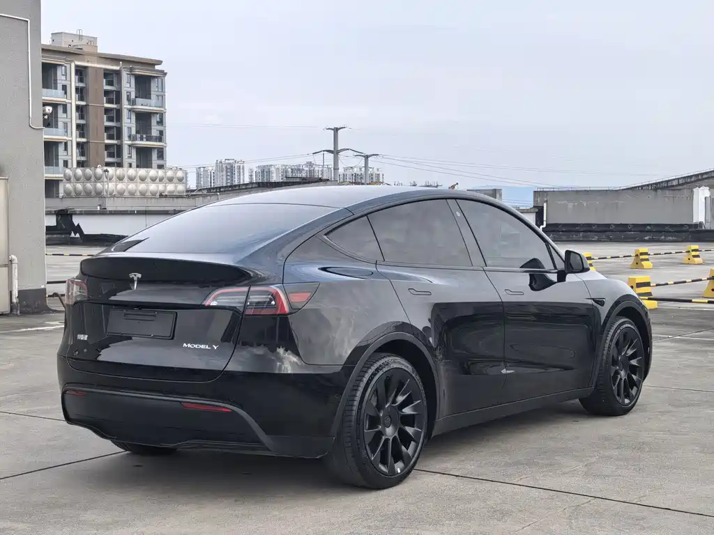 Tesla Model Y — миниатюра 4