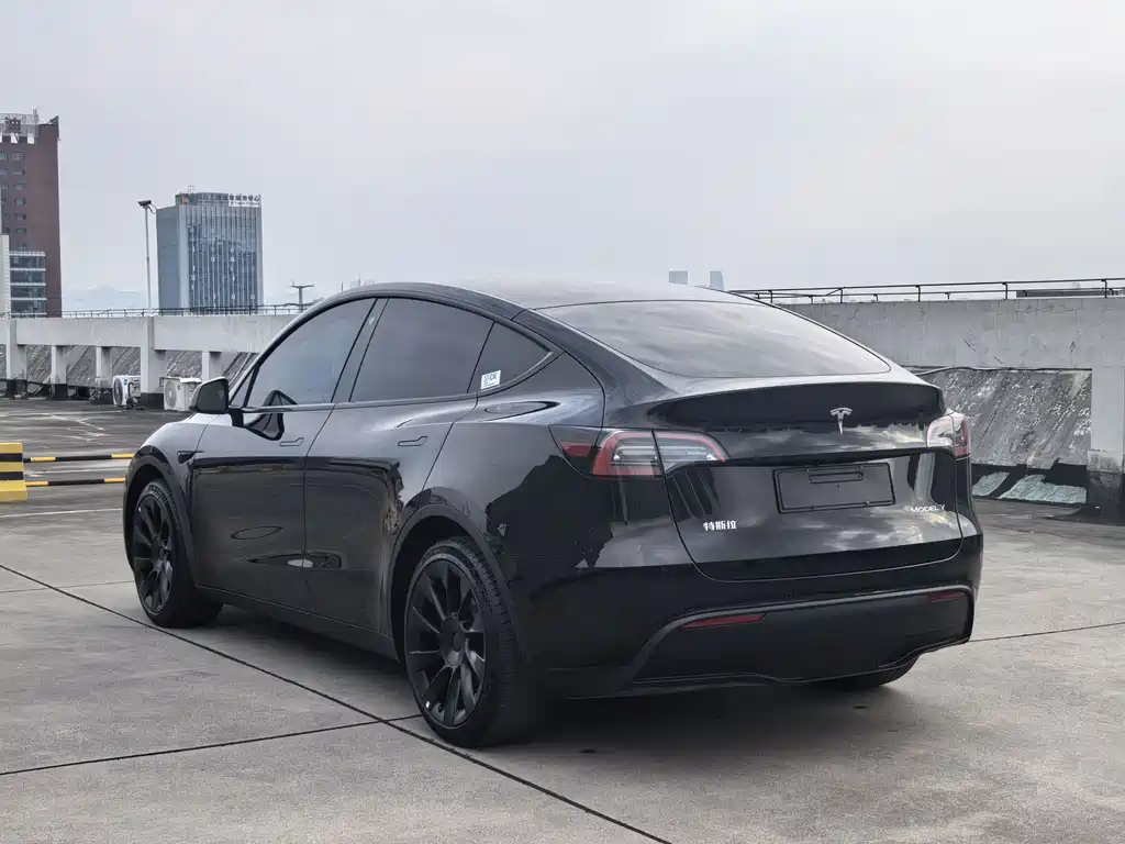Tesla Model Y — миниатюра 7