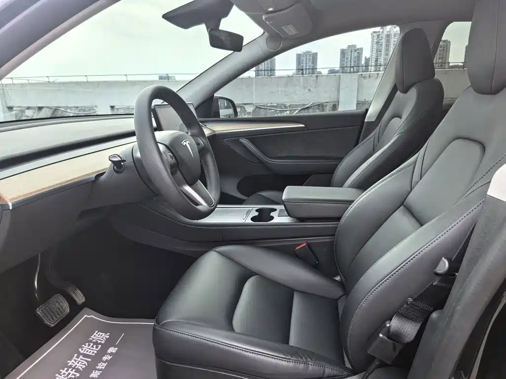 Tesla Model Y — миниатюра 14