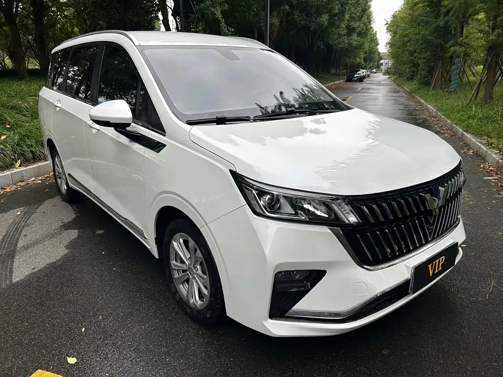 Wuling Jiachen — миниатюра 2