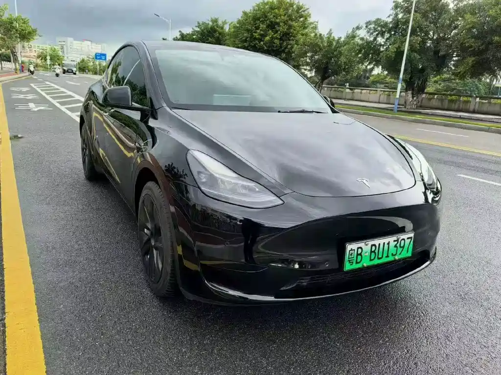 Tesla Model Y — миниатюра 2