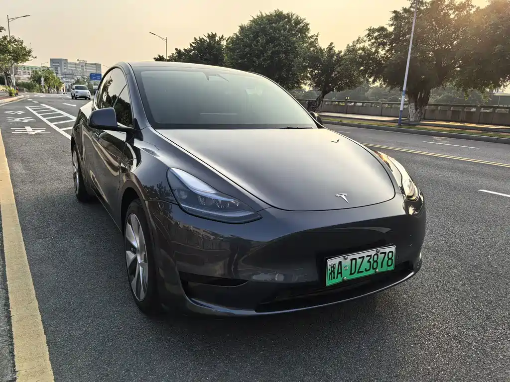 Tesla Model Y — миниатюра 3