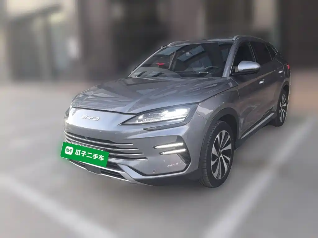 BYD PLUS New Energy — миниатюра 2