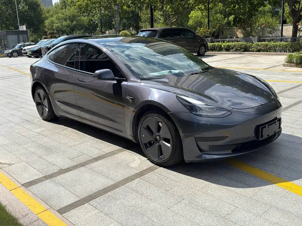 Tesla Model 3 — миниатюра 3