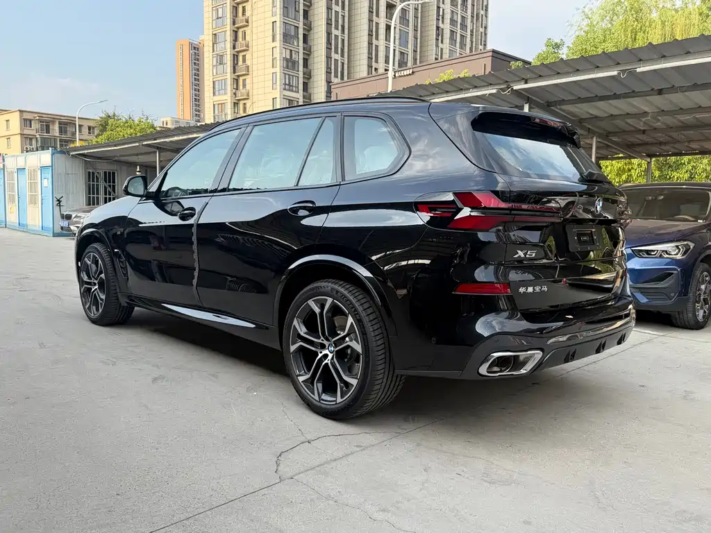 BMW X5 — миниатюра 7
