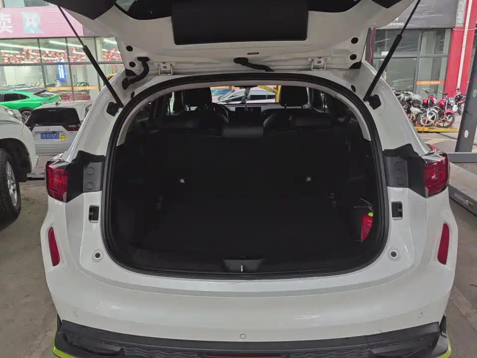 Haval Chitu Dynamic Enjoy Edition 1.5T Brass Rabbit, фото 9