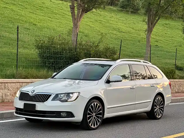 SKODA SPEED PIE 2017