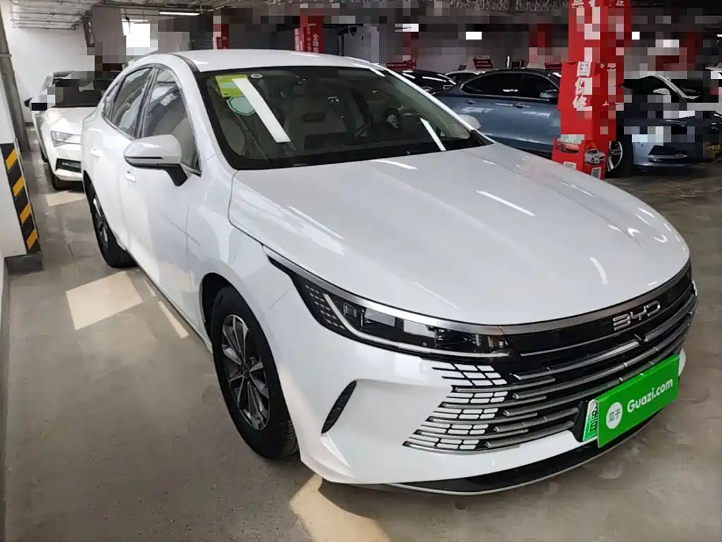 BYD Destroyer 05 2024 DM-i 55KM Luxury