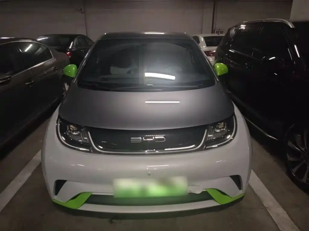 BYD Dolphin 2021 405km Fashion