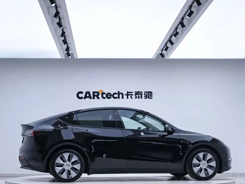 Tesla Model Y — миниатюра 4
