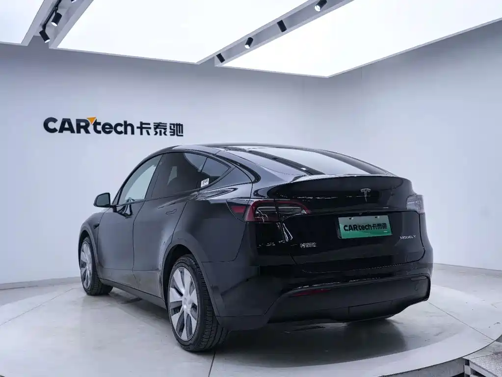 Tesla Model Y — миниатюра 11
