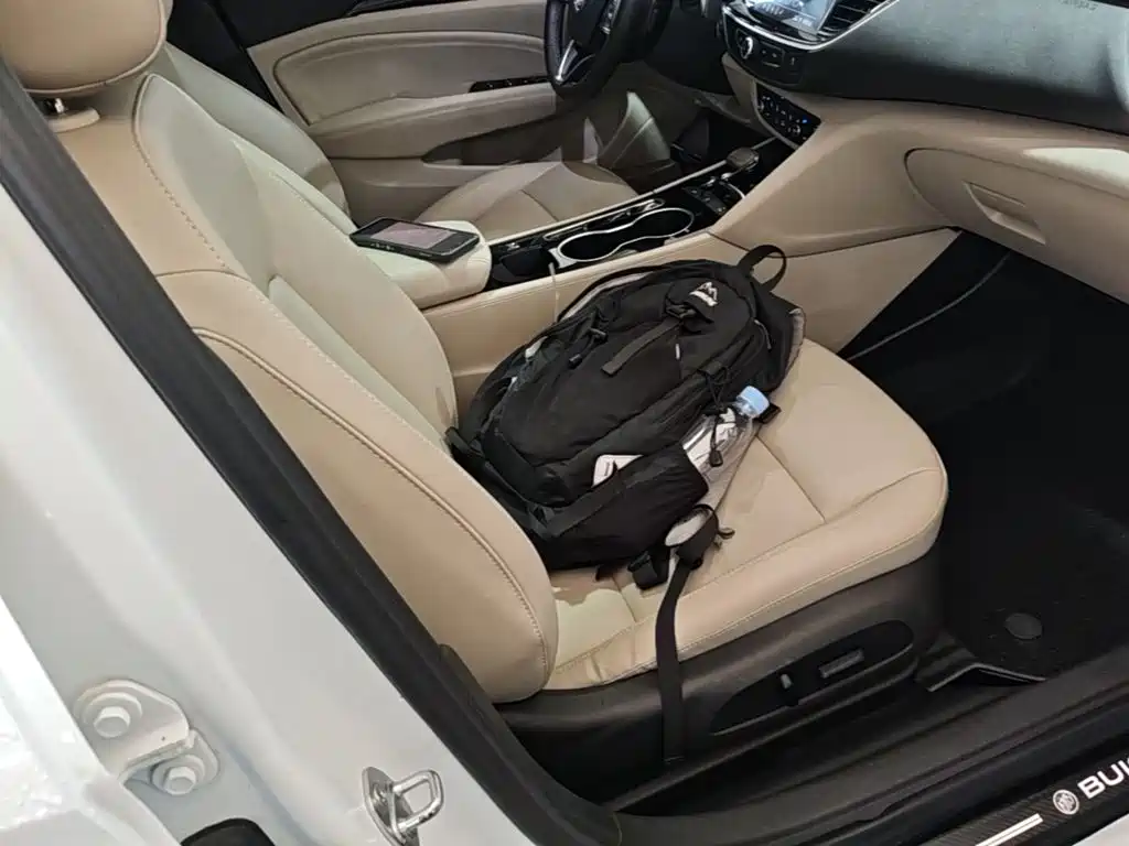 Buick Regal — миниатюра 25