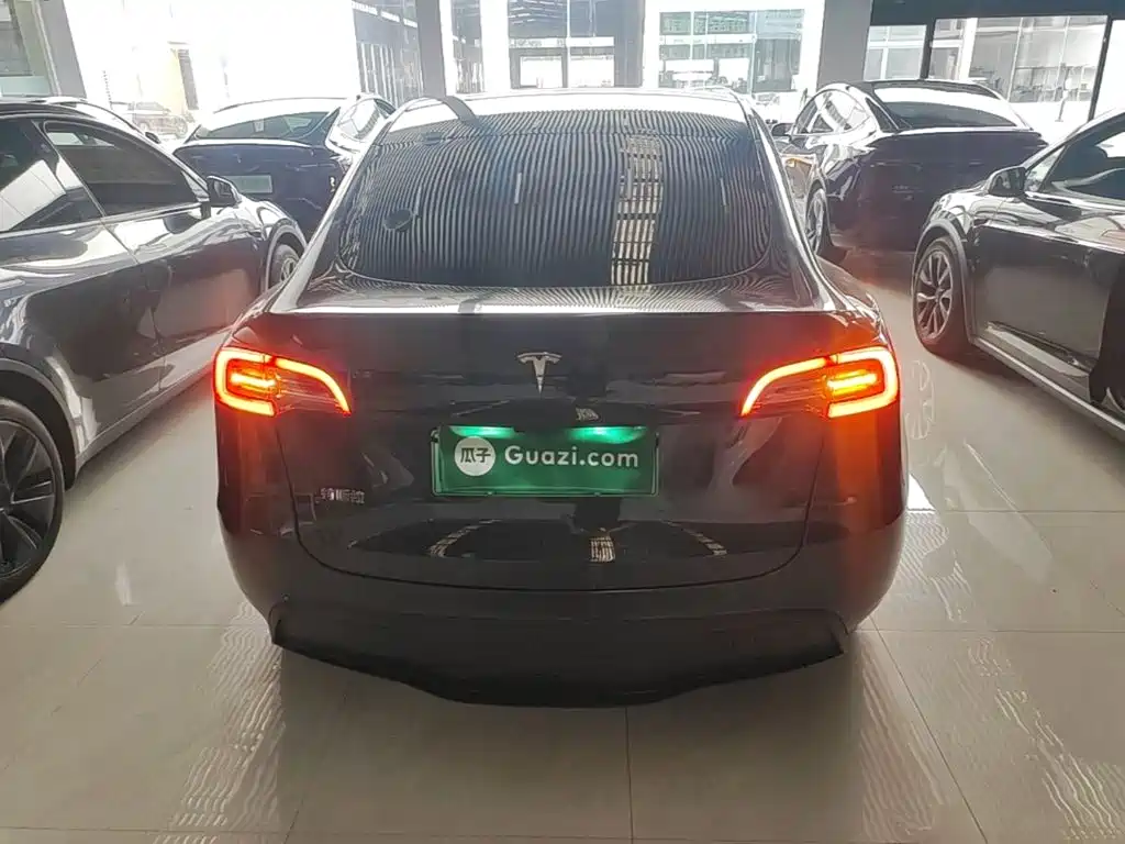 Tesla Model Y — миниатюра 6