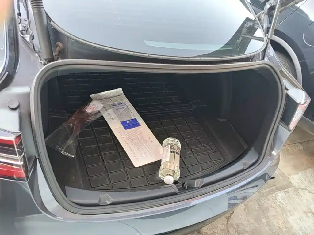 Tesla Model 3 — миниатюра 19