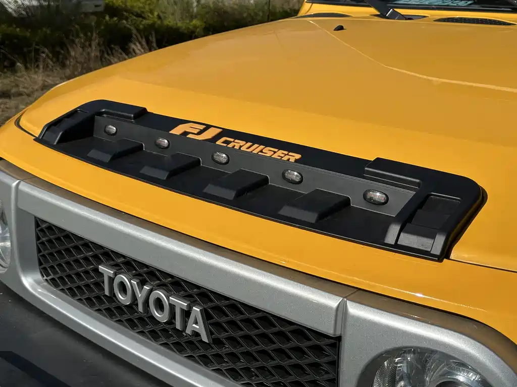 TOYOTA FJ COOL LUZE