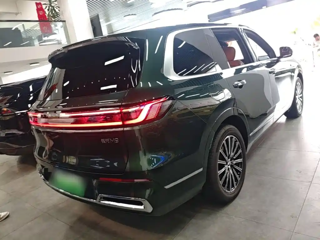 Geely Galaxy Galaxy M9 M9 2025 230km