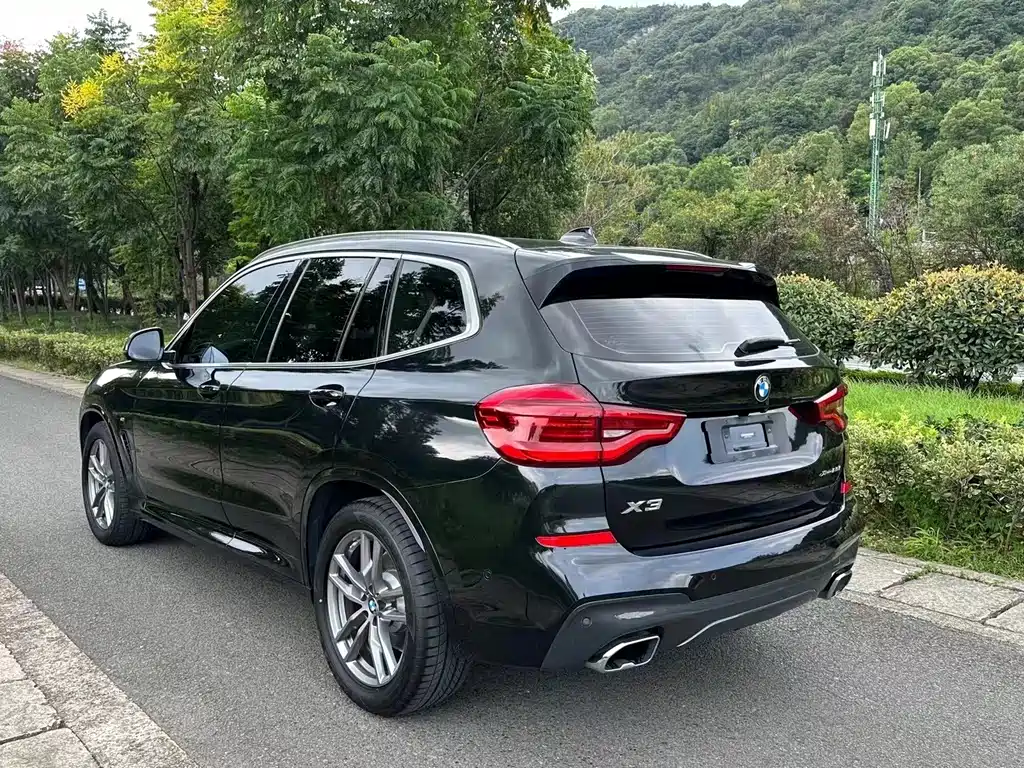 BMW X3 — миниатюра 7