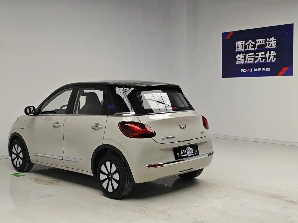 Wuling Binguo 2024 333km Enjoy