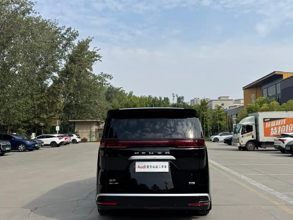 Denza Denza D9 — миниатюра 5