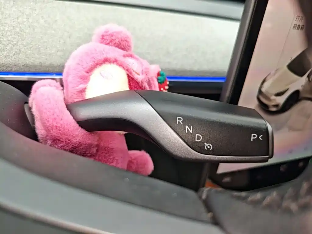 Tesla Model Y — миниатюра 14