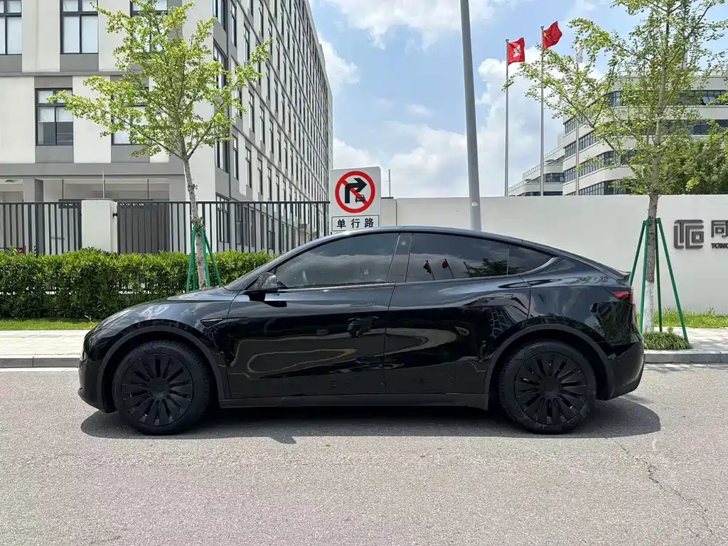 Tesla Model Y — миниатюра 11