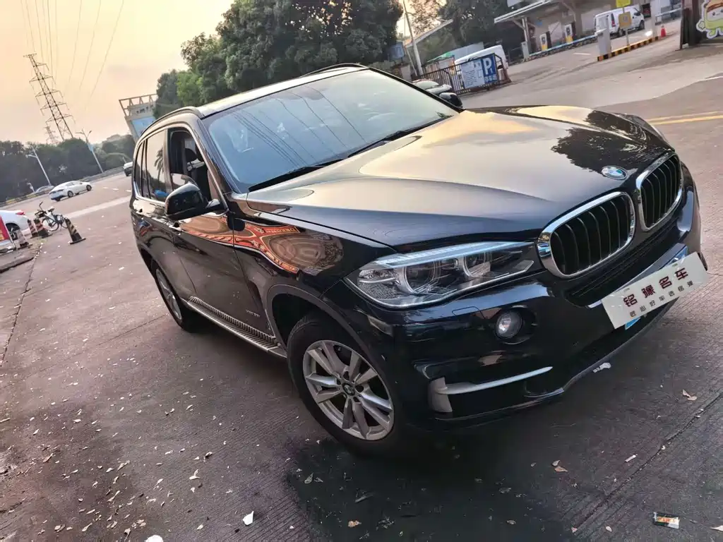 BMW X5 (Import) — миниатюра 2
