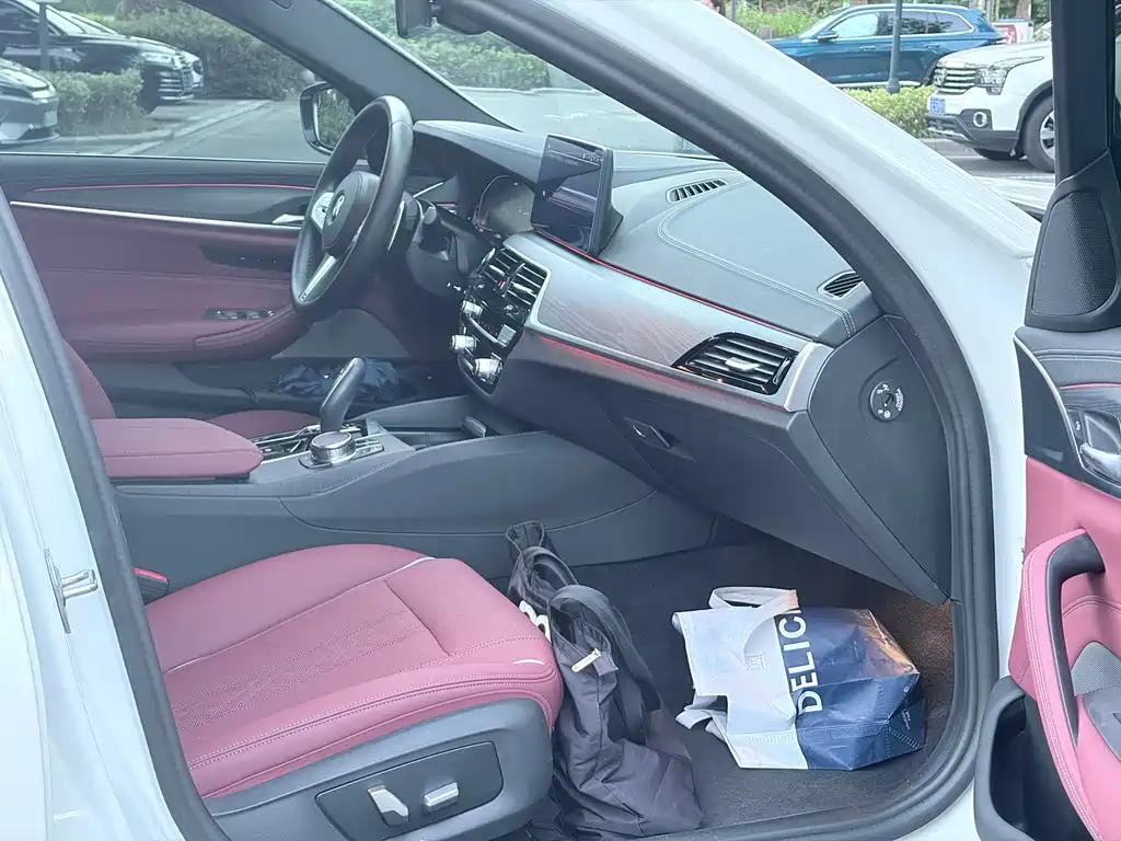 BMW 5 Series 5 2023 530Li Lead M Sport
